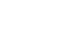 BISparkiet Deski tarasowe, elewacje drewniane, altany drewniane, montaż tarasów